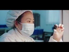 introduction de société